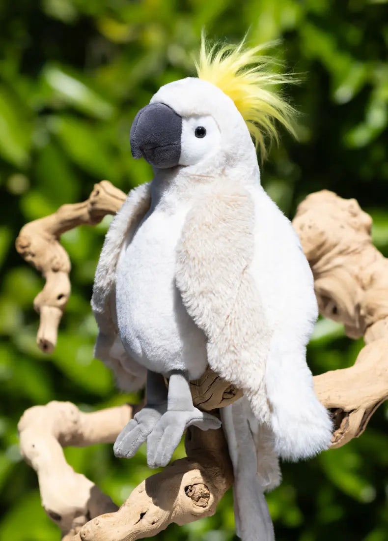 Mango Parrot (30cm)