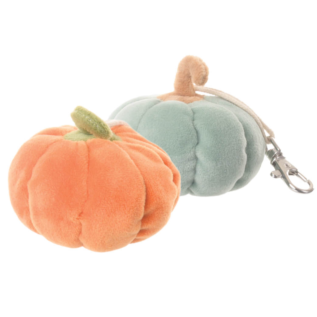 Pumpkin ' Bag Charm